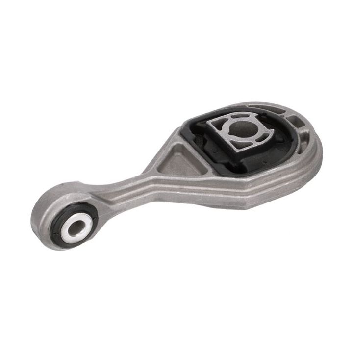 Variklio montavimas RAPRO R55448