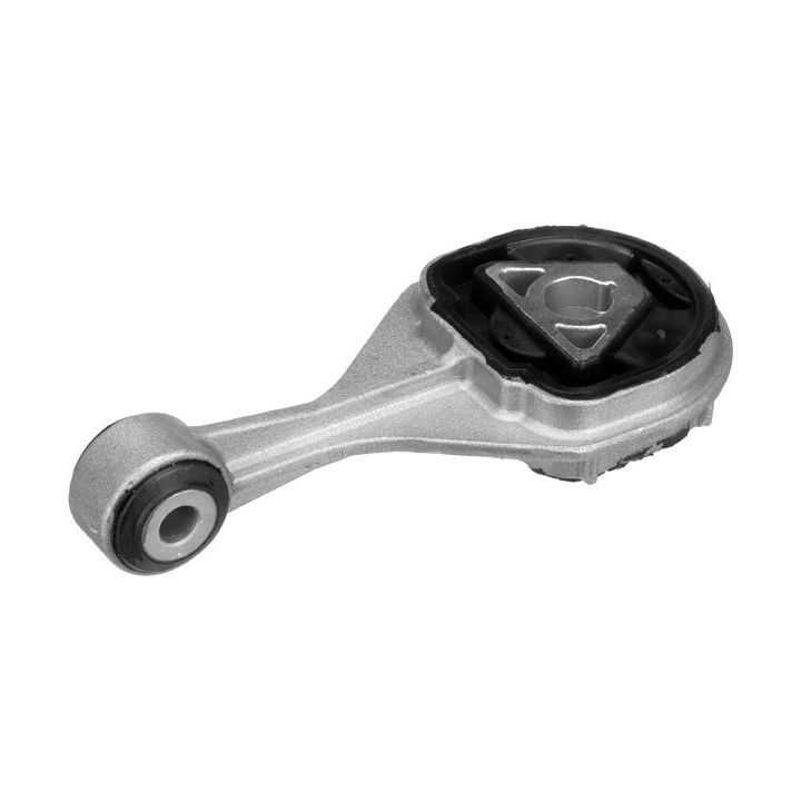 Variklio montavimas RAPRO R55497