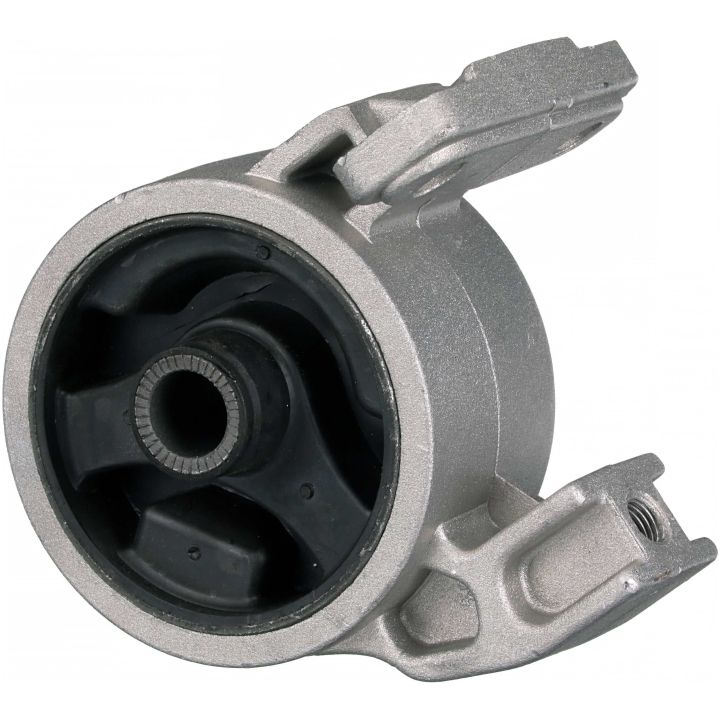 Variklio montavimas RAPRO R55607