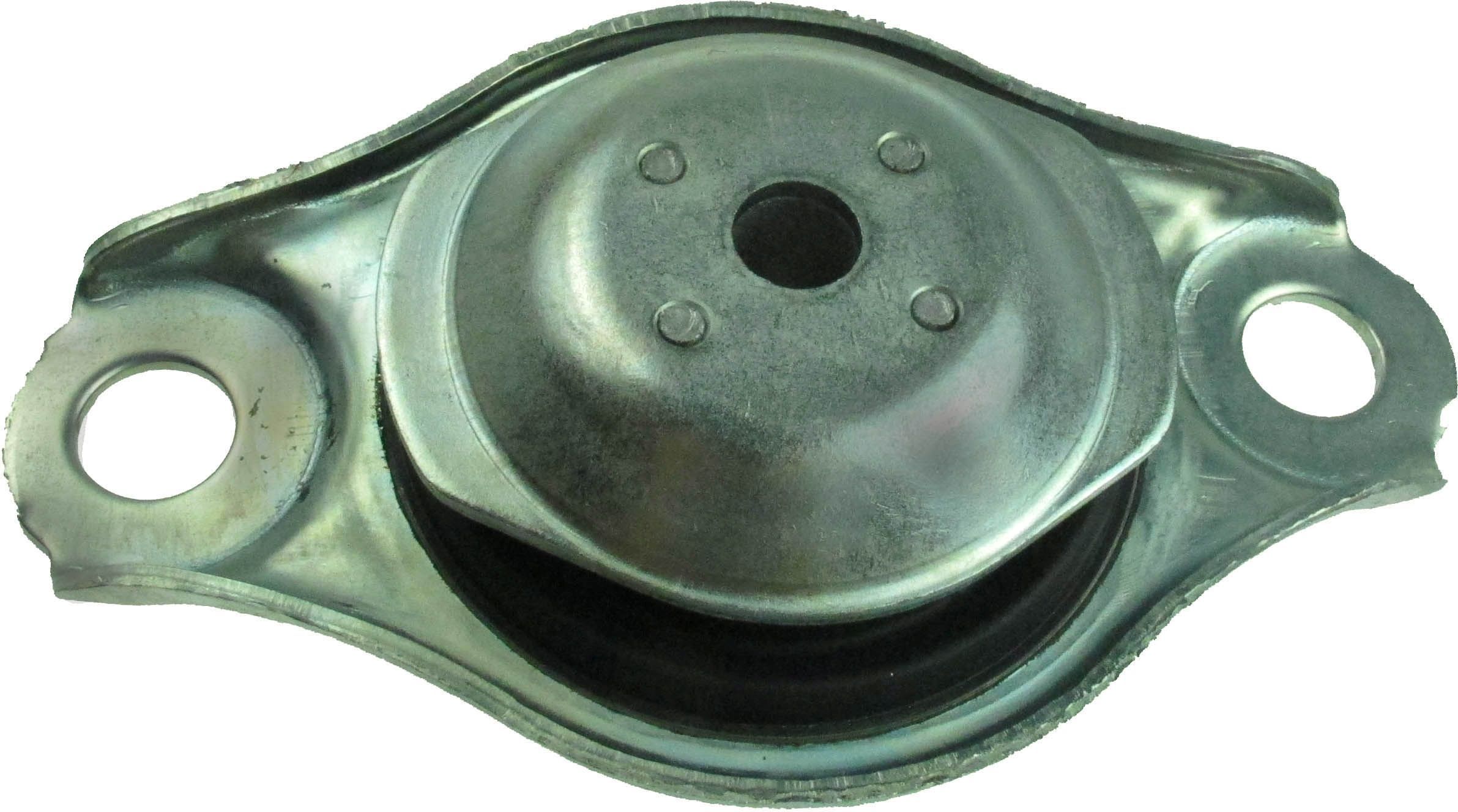 Variklio montavimas RAPRO R57942