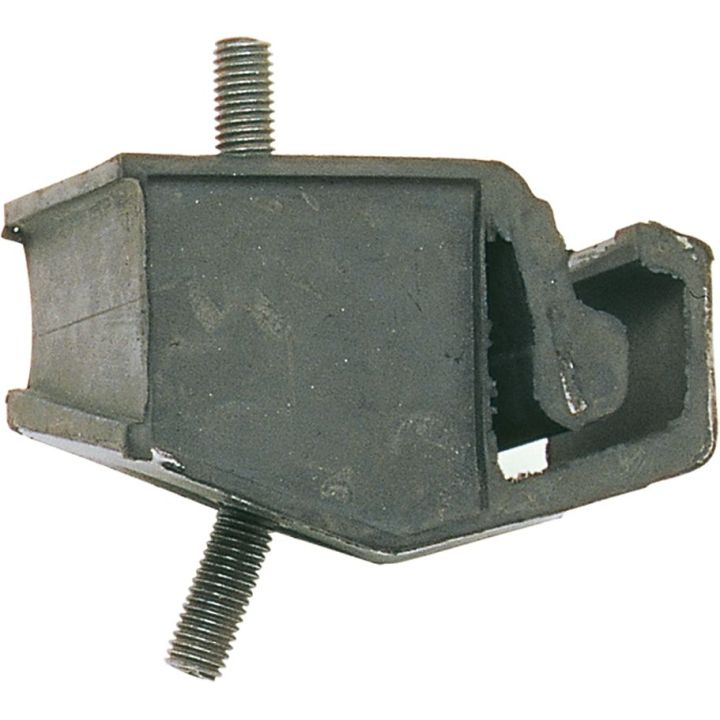 Variklio montavimas RAPRO R58151