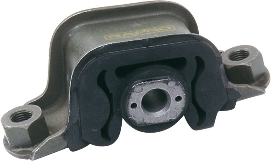 Variklio montavimas RAPRO R59175