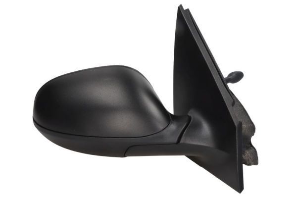 Išorinis veidrodėlis BLIC 5402-04-1115524P