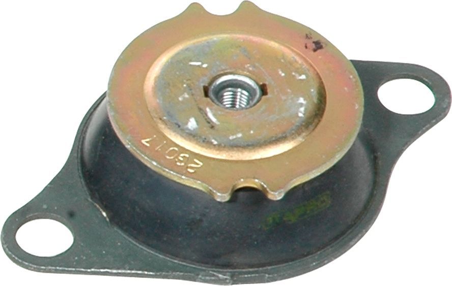 Variklio montavimas RAPRO R59504