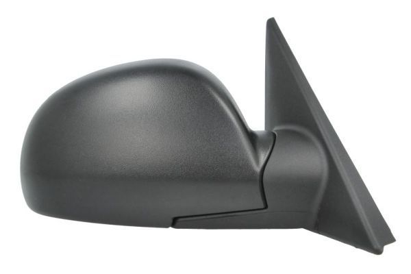 Išorinis veidrodėlis BLIC 5402-04-1115575P