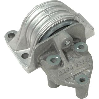 Variklio montavimas RAPRO R59517