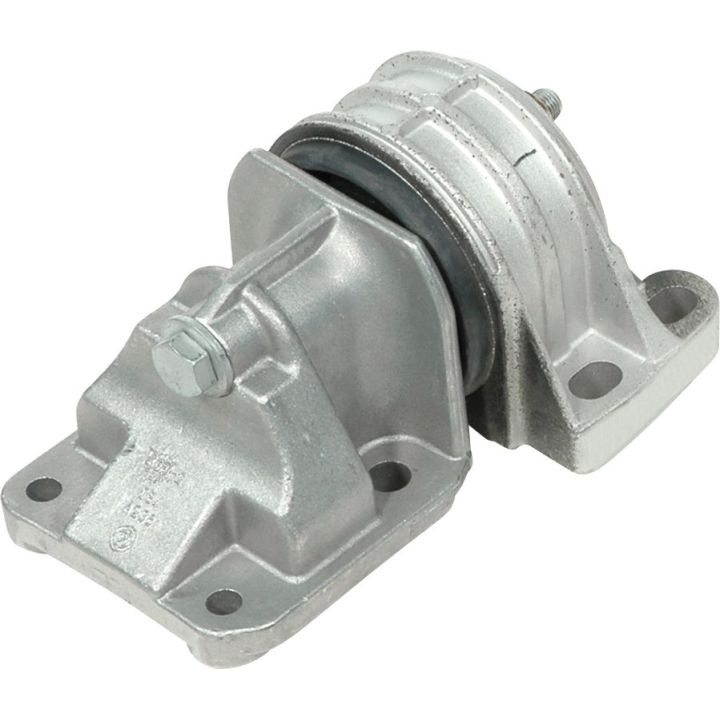 Variklio montavimas RAPRO R59518