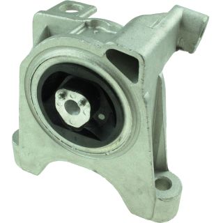 Variklio montavimas RAPRO R59561