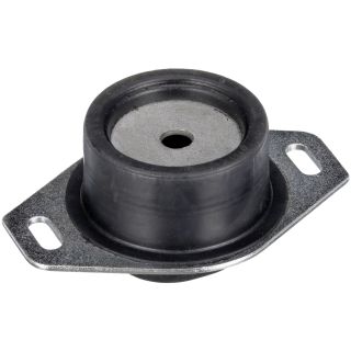 Variklio montavimas RAPRO R59611