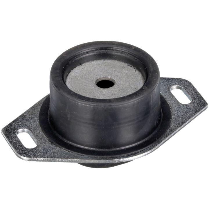 Variklio montavimas RAPRO R59611