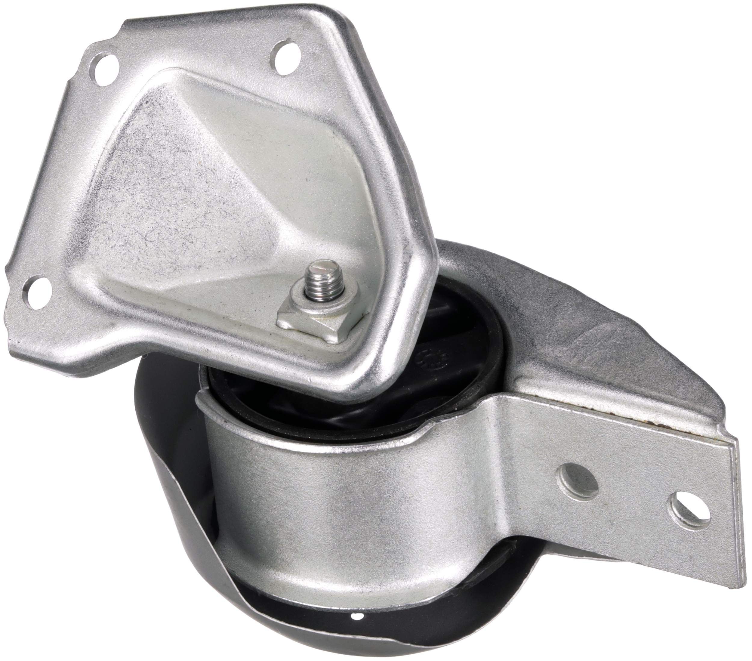 Variklio montavimas RAPRO R59675