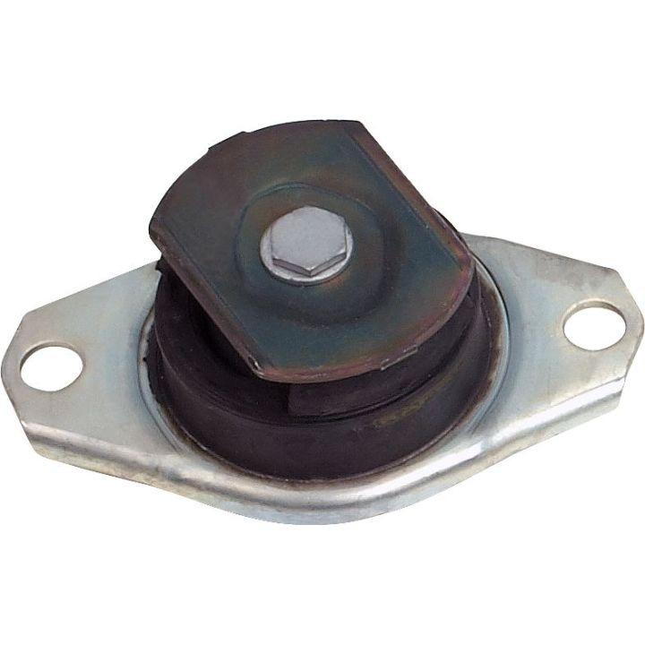 Variklio montavimas RAPRO R59726/A