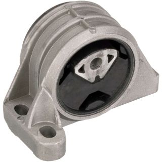 Variklio montavimas RAPRO R59758