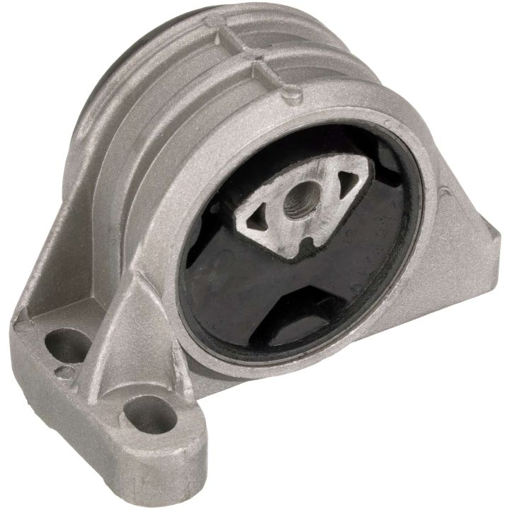 Variklio montavimas RAPRO R59758