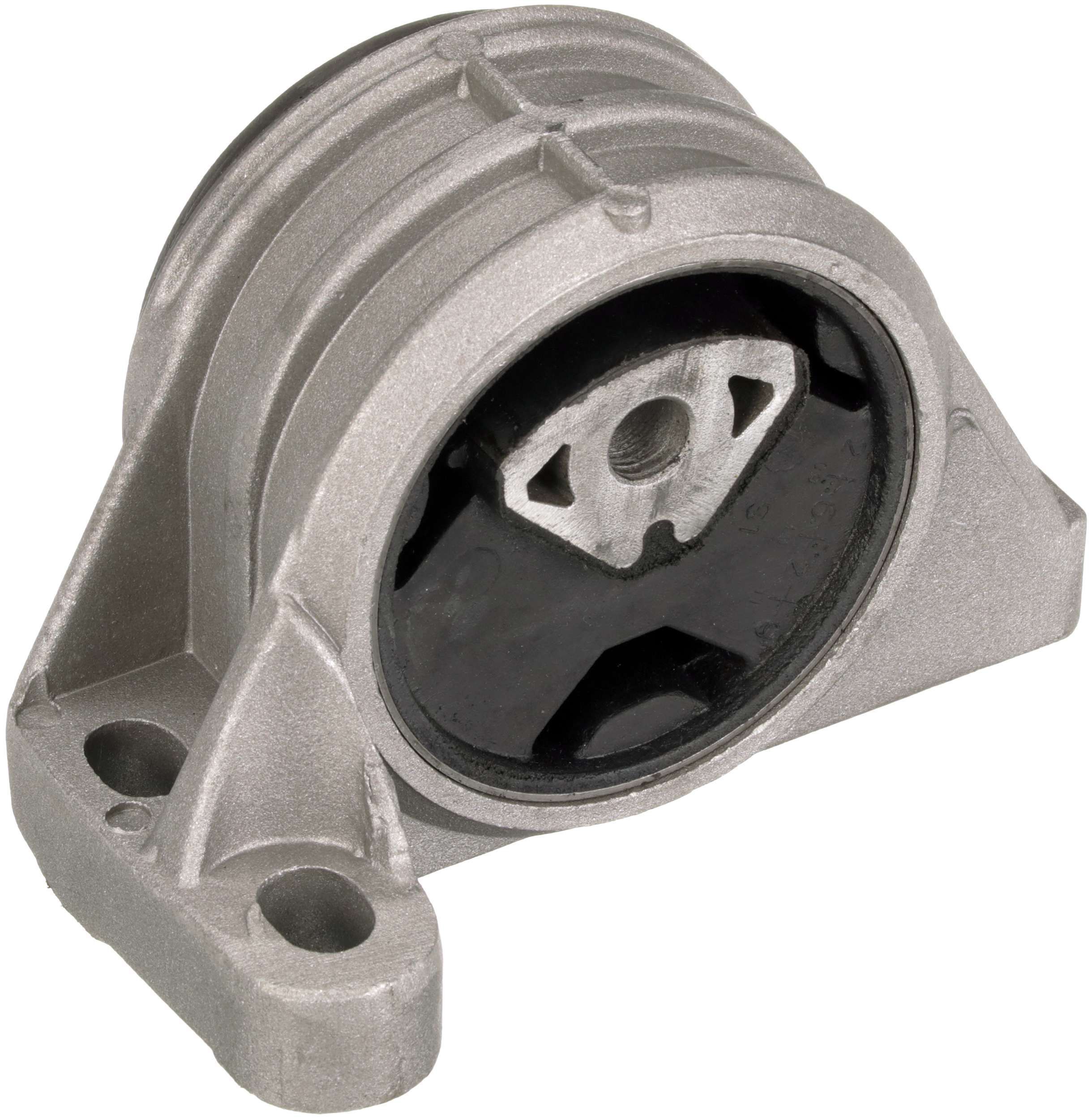 Variklio montavimas RAPRO R59758