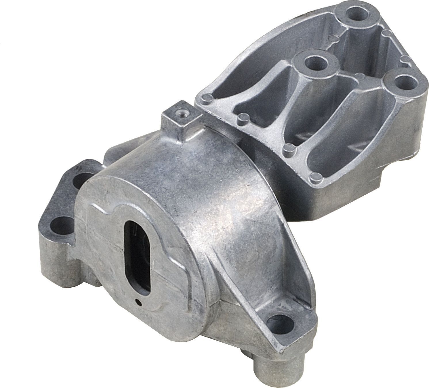 Variklio montavimas RAPRO R59779