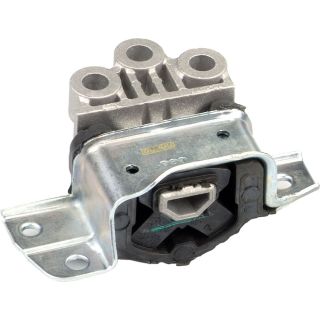 Variklio montavimas RAPRO R59783