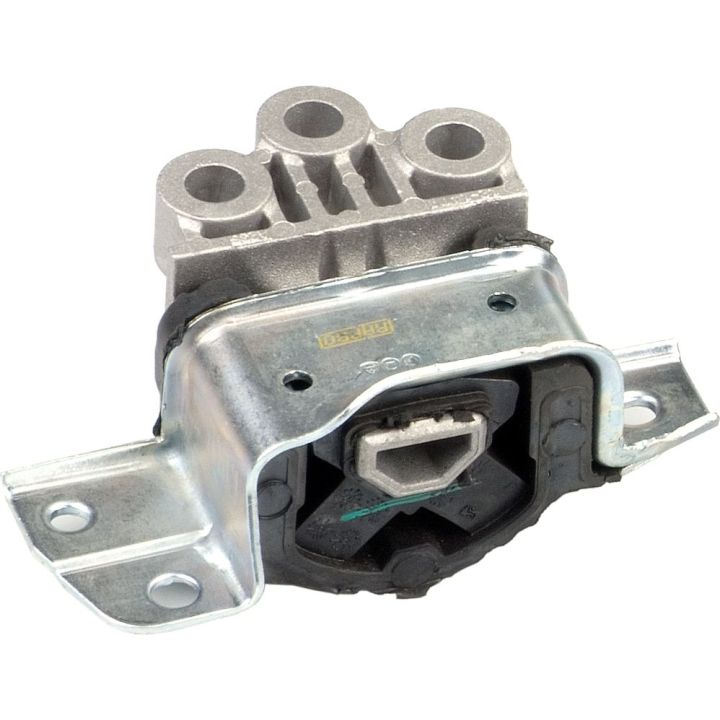 Variklio montavimas RAPRO R59783