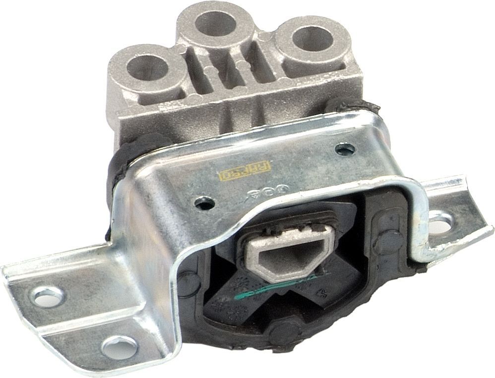 Variklio montavimas RAPRO R59783