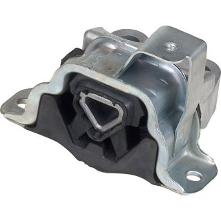 Variklio montavimas RAPRO R59784