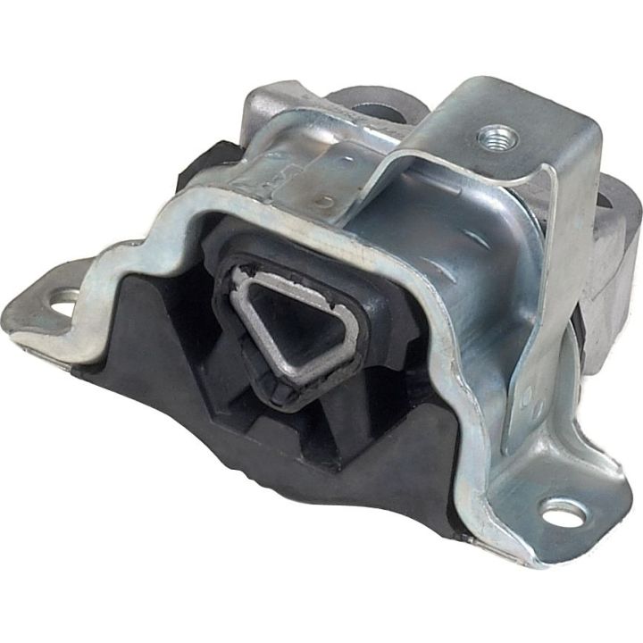 Variklio montavimas RAPRO R59784