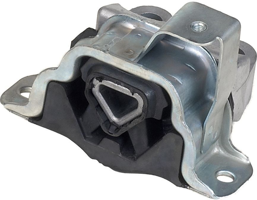 Variklio montavimas RAPRO R59784