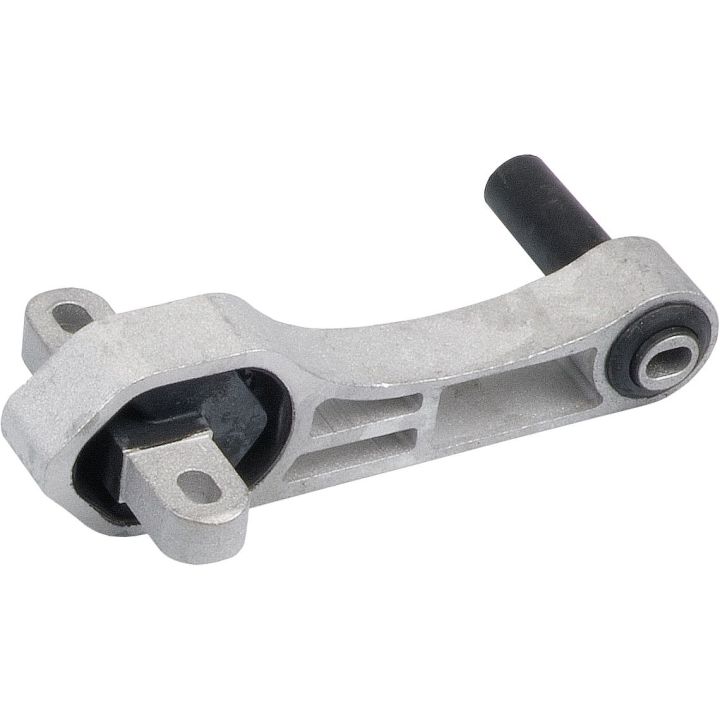 Variklio montavimas RAPRO R59787/A