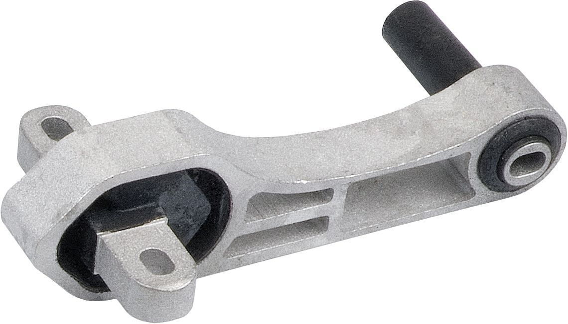 Variklio montavimas RAPRO R59787/A