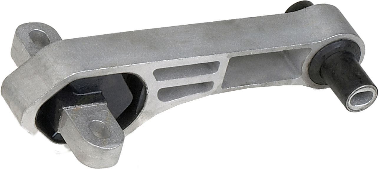 Variklio montavimas RAPRO R59788/A