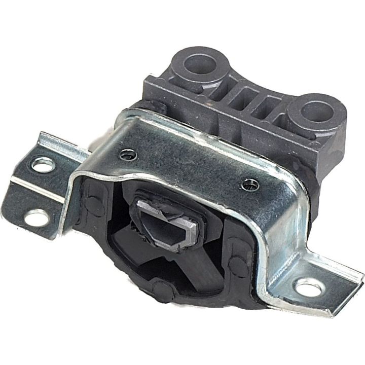 Variklio montavimas RAPRO R59791