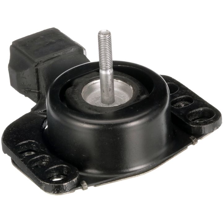 Variklio montavimas RAPRO R59838