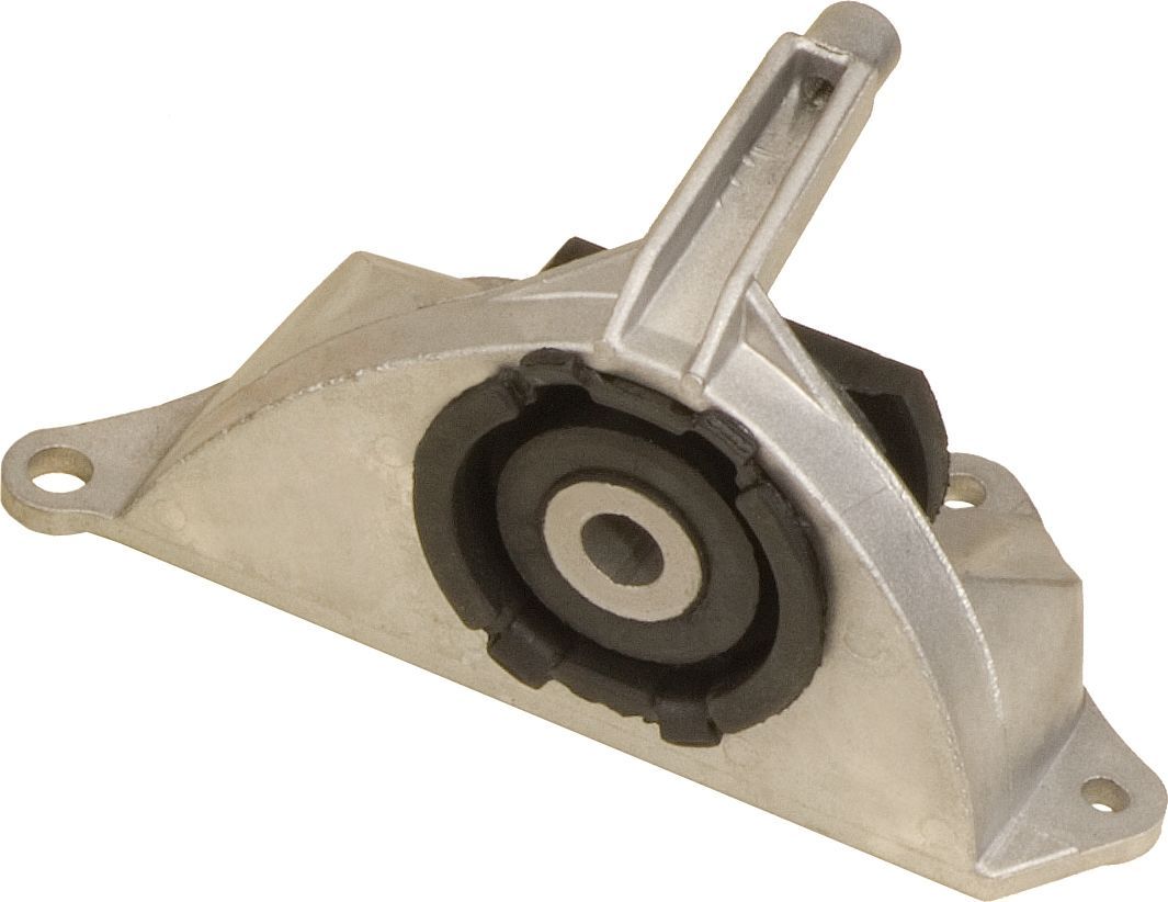 Variklio montavimas RAPRO R59979