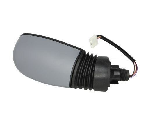 Išorinis veidrodėlis BLIC 5402-04-1121329P