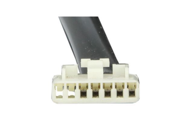 Išorinis veidrodėlis BLIC 5402-04-1121911P