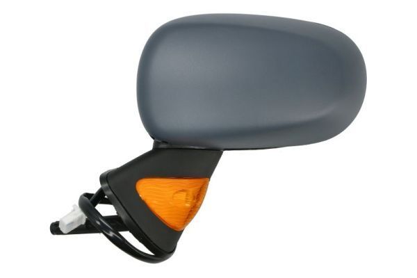 Išorinis veidrodėlis BLIC 5402-04-1131179P