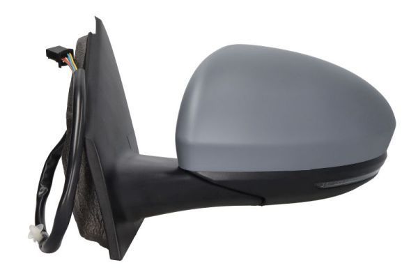 Išorinis veidrodėlis BLIC 5402-09-1231361P