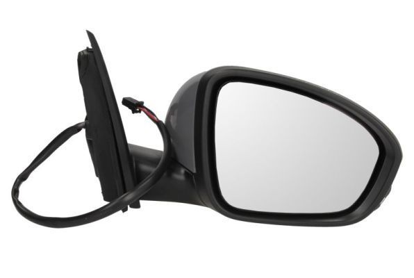 Išorinis veidrodėlis BLIC 5402-09-1231362P