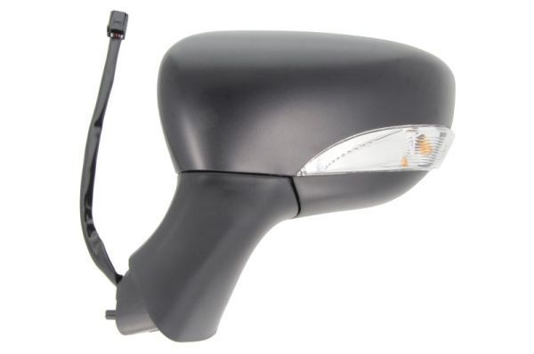 Išorinis veidrodėlis BLIC 5402-09-2002125P