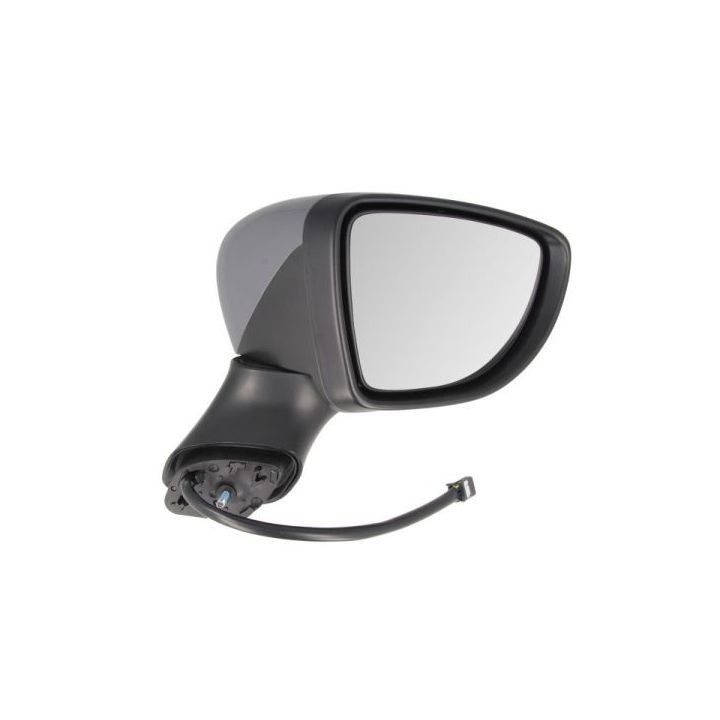 Išorinis veidrodėlis BLIC 5402-09-2002130P