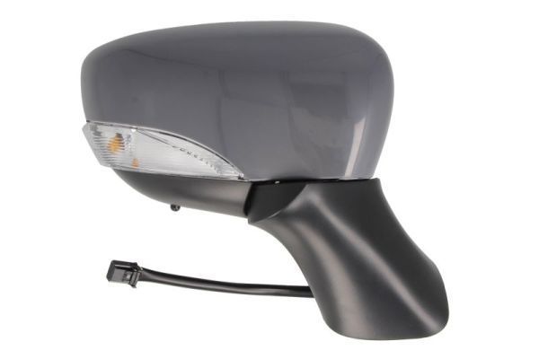 Išorinis veidrodėlis BLIC 5402-09-2002130P