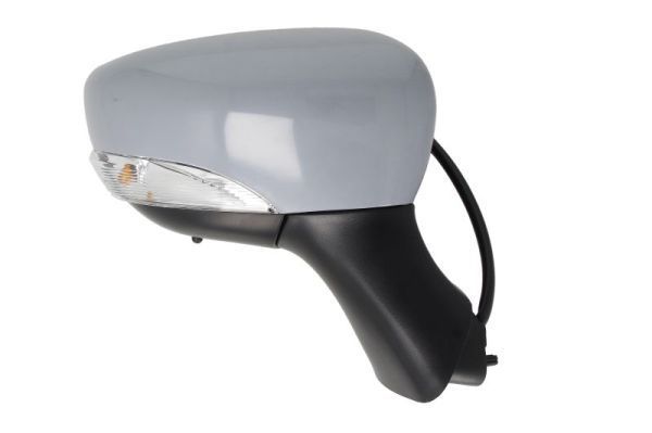 Išorinis veidrodėlis BLIC 5402-09-2002132P