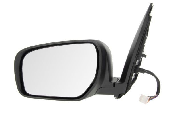 Išorinis veidrodėlis BLIC 5402-09-2002165P