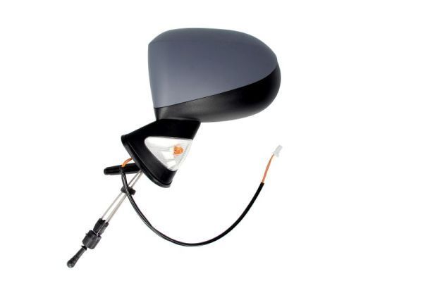 Išorinis veidrodėlis BLIC 5402-09-2002199P