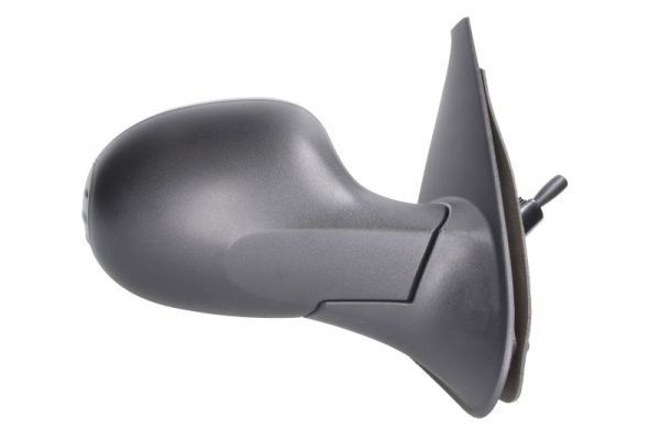 Išorinis veidrodėlis BLIC 5402-09-2002208P