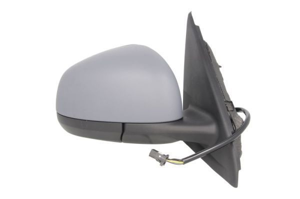 Išorinis veidrodėlis BLIC 5402-09-2002246P