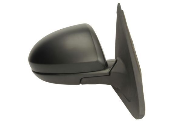 Išorinis veidrodėlis BLIC 5402-14-2001694P