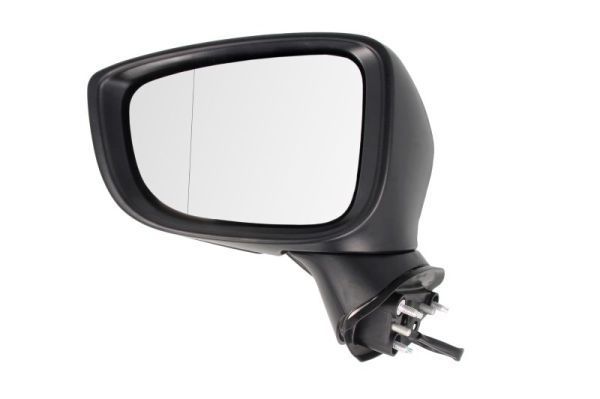 Išorinis veidrodėlis BLIC 5402-14-2001701P
