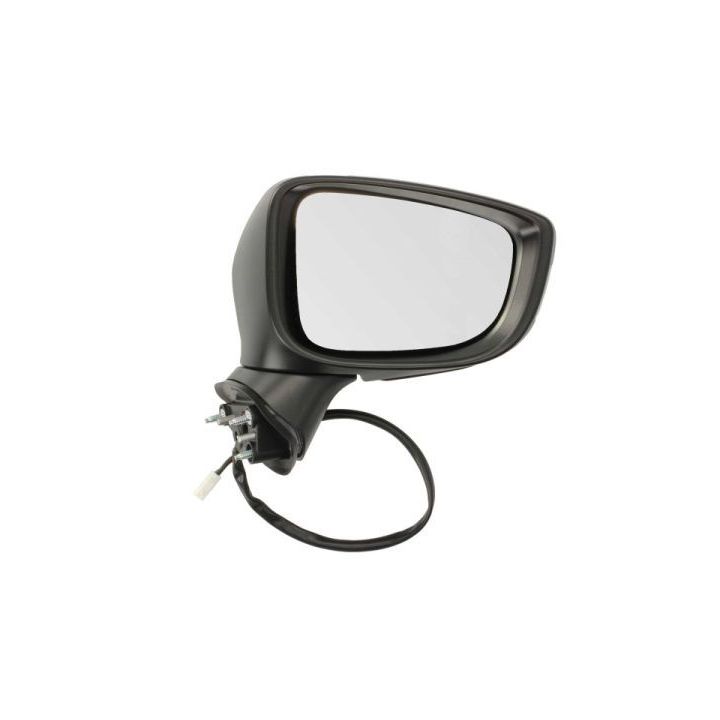 Išorinis veidrodėlis BLIC 5402-14-2001704P