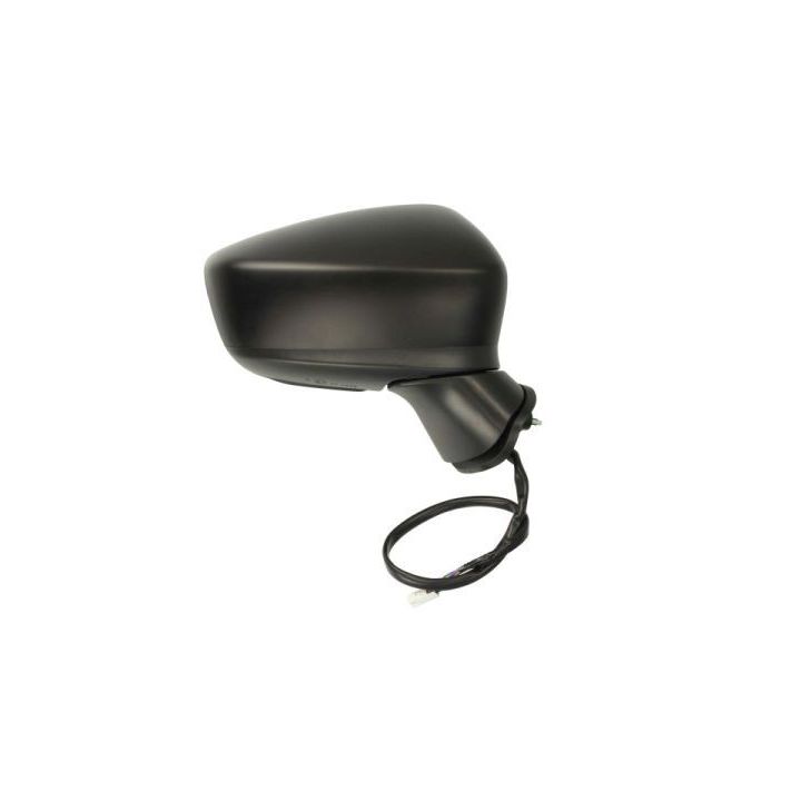 Išorinis veidrodėlis BLIC 5402-14-2001704P