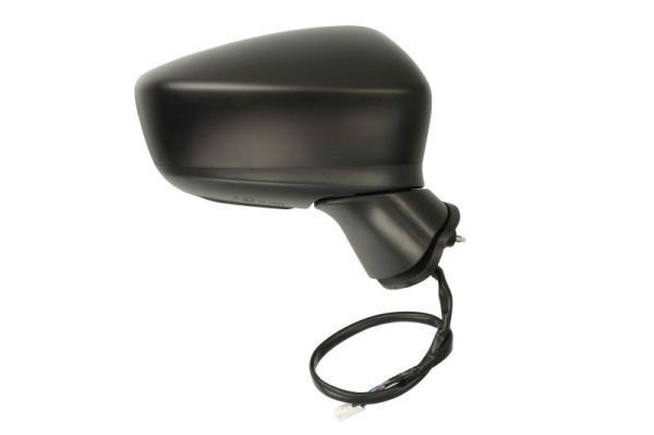 Išorinis veidrodėlis BLIC 5402-14-2001704P